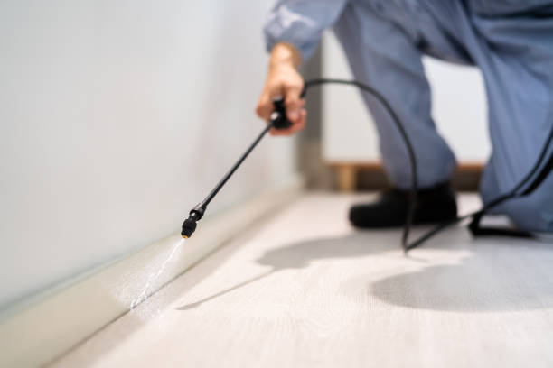 Licensed Pest Control service in Melcher-Dallas, IA - Nex Pest Control