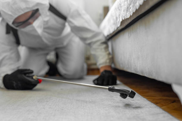 Professional Pest Control technician working in Melcher-Dallas, IA
